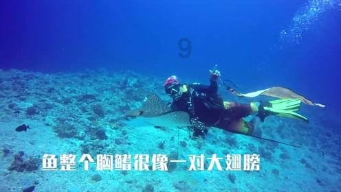 2023年中国线下消费市场创业洞察白皮书：道虽迩，但不行不至